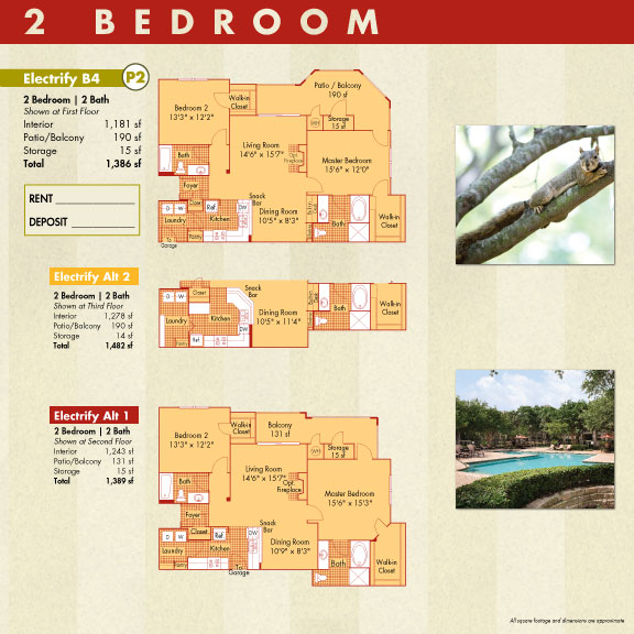 Brochure Page