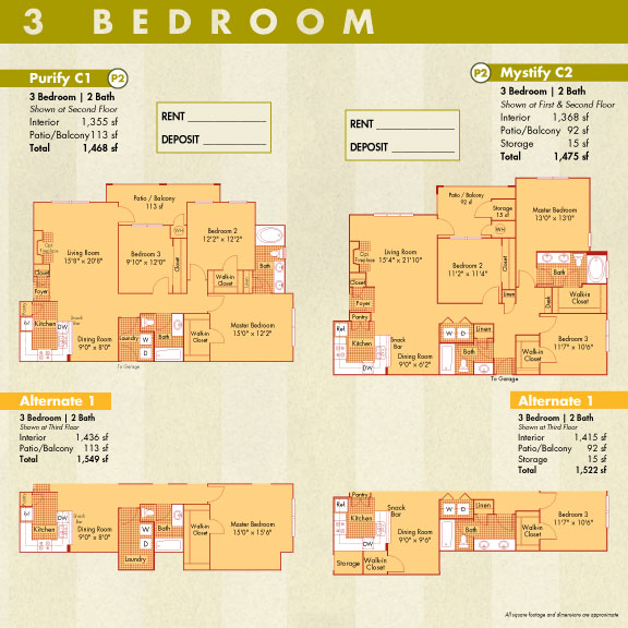 Brochure Page